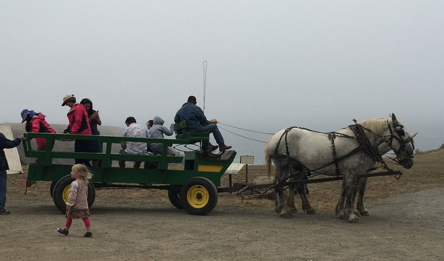 Fort Ross Festival 2016