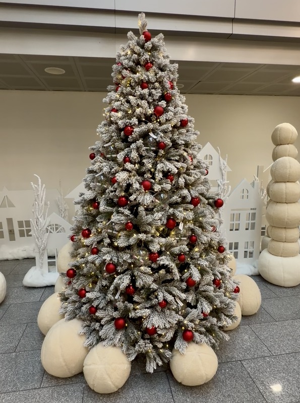 Итоги новогодних благотворительных мероприятий Фонда Итоги новогодних благотворительных мероприятий Фонда